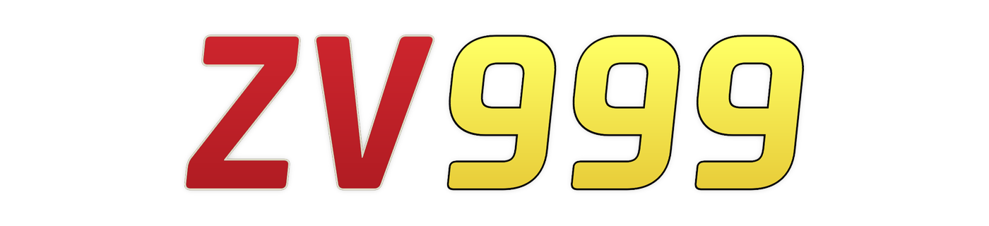 zv999 Logo